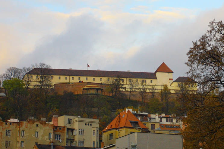 img00003.jpg