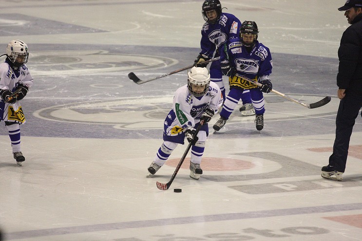 img00180.jpg
