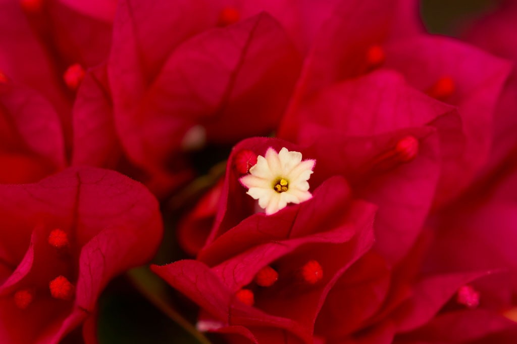 img00019.jpg