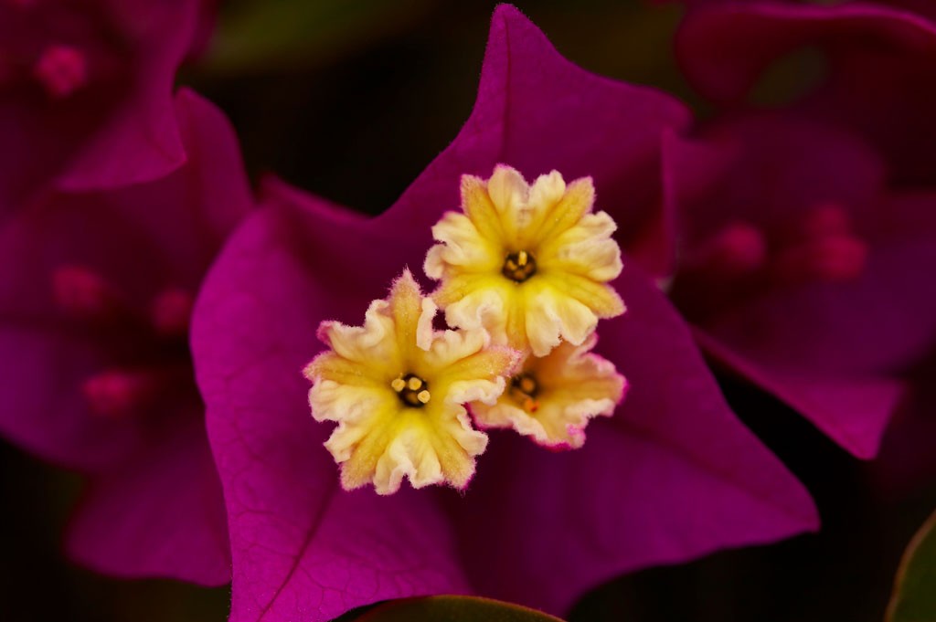 img00020.jpg