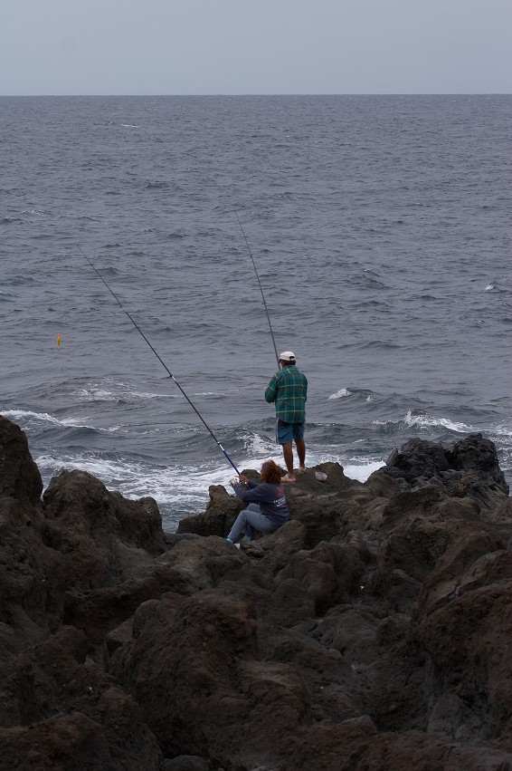 img00006.jpg