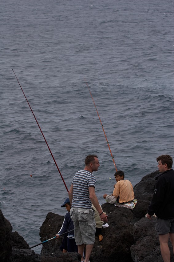 img00007.jpg