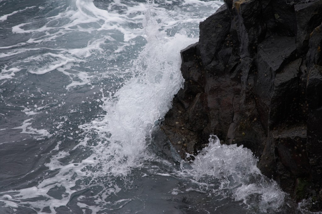 img00039.jpg