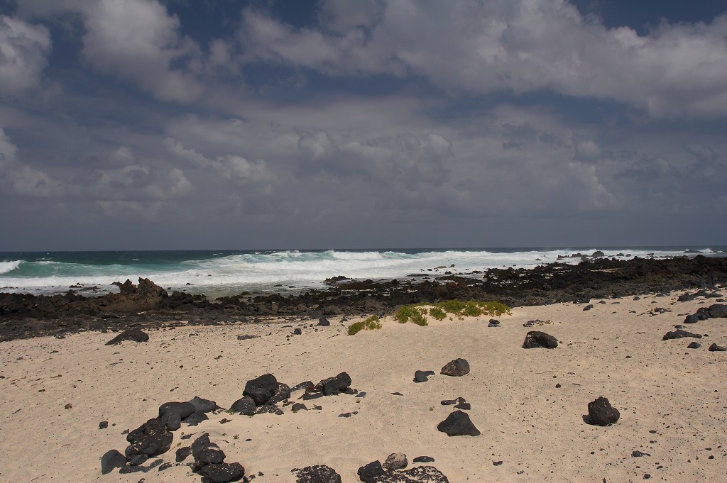 img00020.jpg