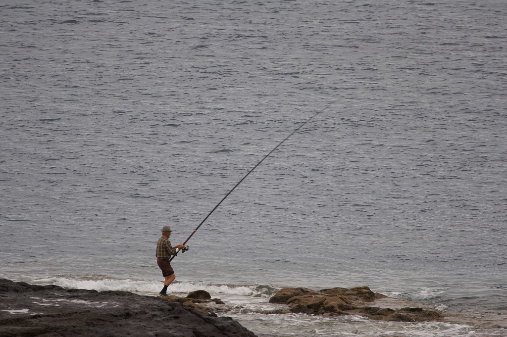 img00006.jpg