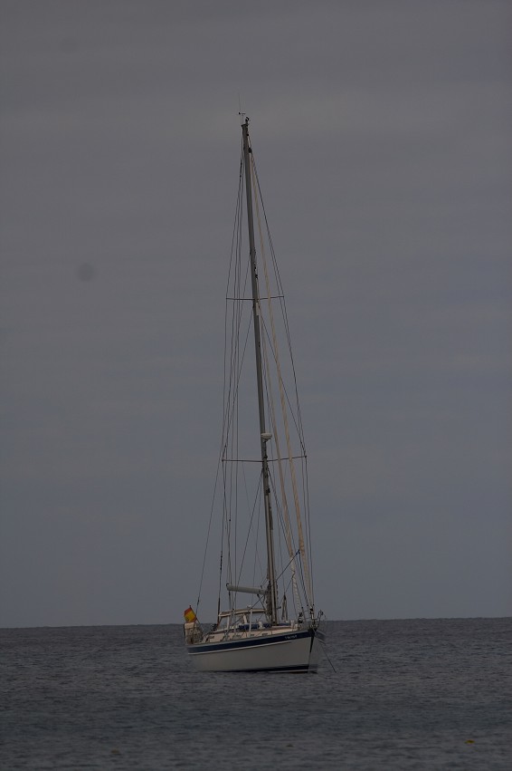 img00020.jpg