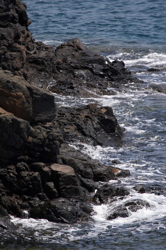 img00091.jpg