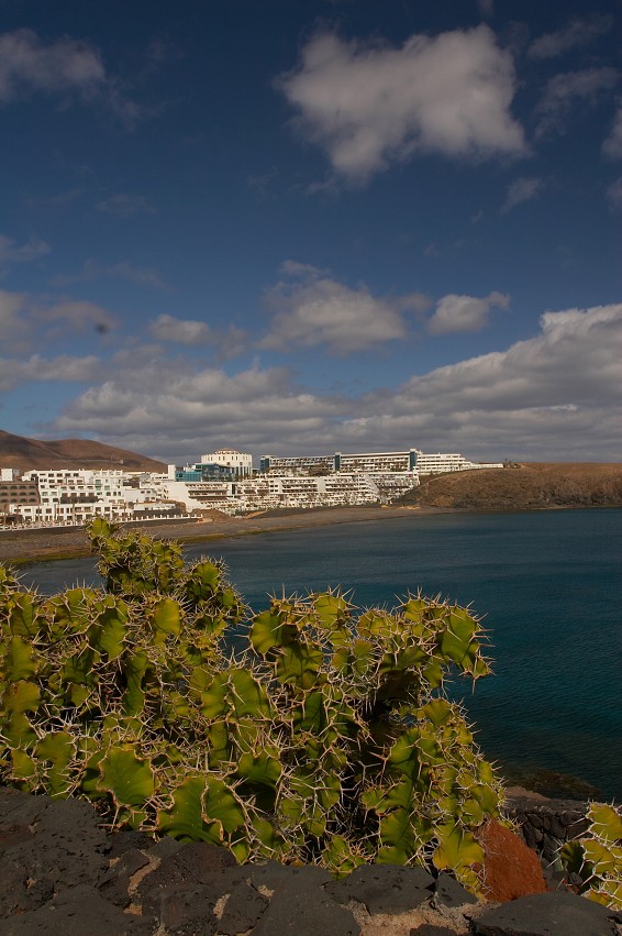 img00032.jpg