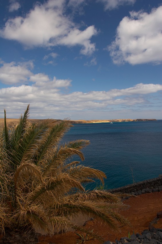 img00035.jpg