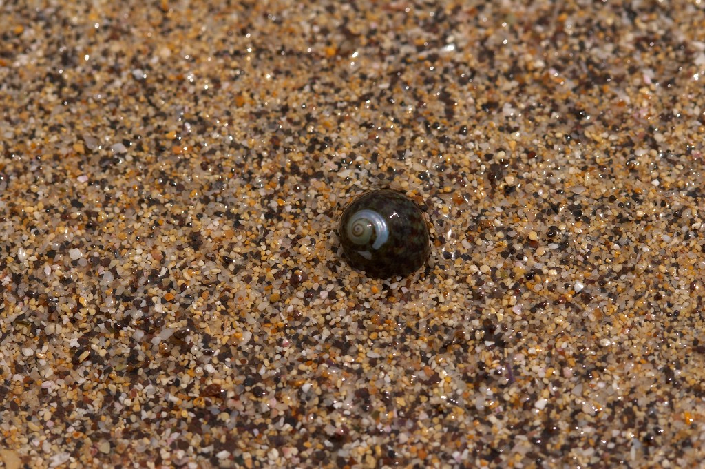 img00044.jpg