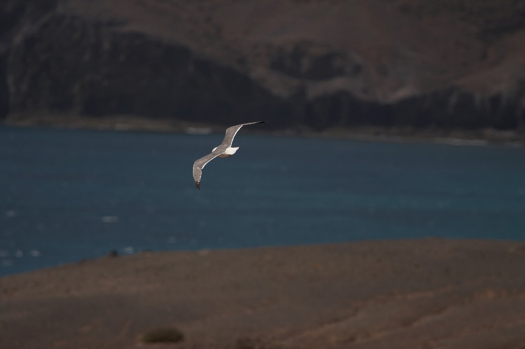 img00048.jpg