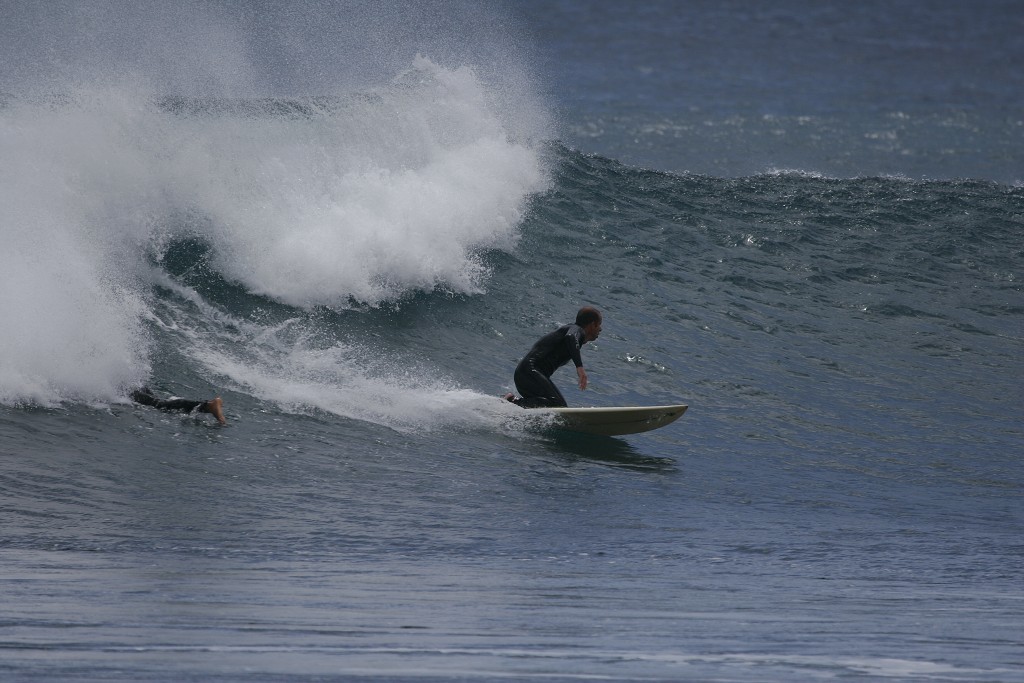 img00029.jpg