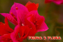 thn00009.jpg