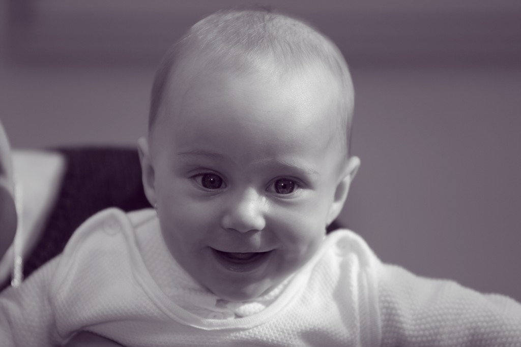 img00029.jpg